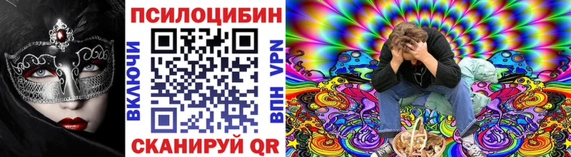 дарк нет клад  Дмитров  Псилоцибиновые грибы Psilocybine cubensis 