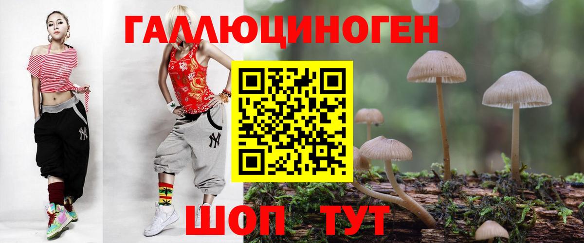 Галлюциногенные грибы прущие грибы Дмитров