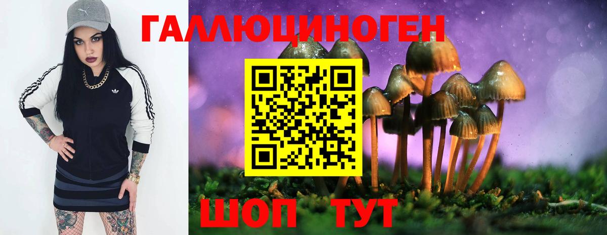 Дмитров  Галлюциногенные грибы мицелий  Вход с VPN  купить наркоту  Псилоцибиновые грибы MAGIC MUSHROOMS 